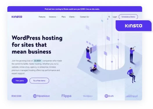 Kinsta Web Hosting Platform