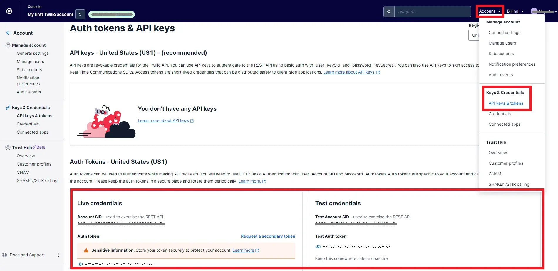 API Keys and Tokens