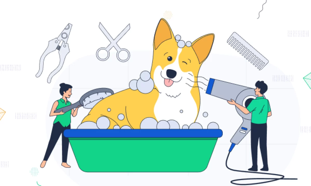 Animated Happy Paws Grooming Cute Dog At Groomer Salon And Set Of