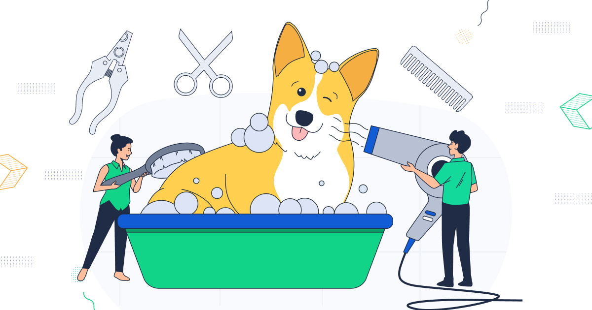 How to Build a Pet Grooming site on WordPress