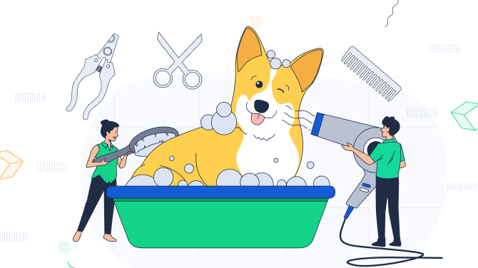 How to Build a Pet Grooming Website on WordPress