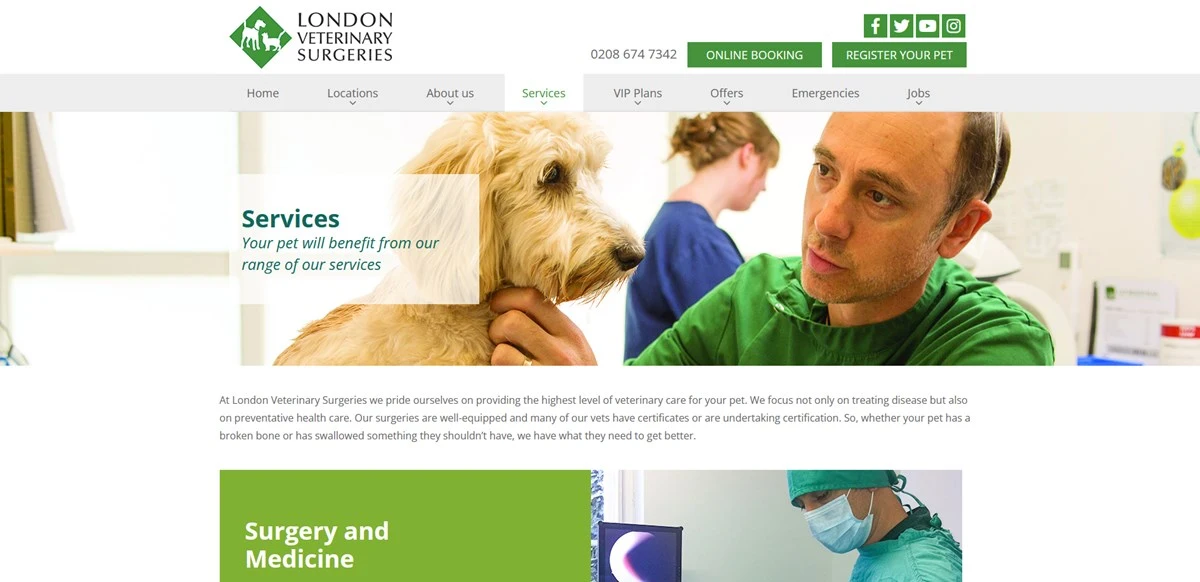 London Veterinary Surgeries