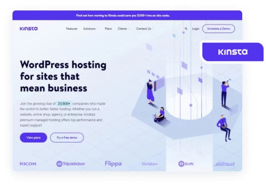 kinsta web hosting