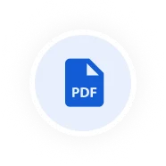 Professional PDF Invoices