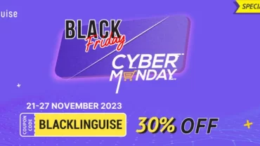 Linguise WordPress Black Friday deal