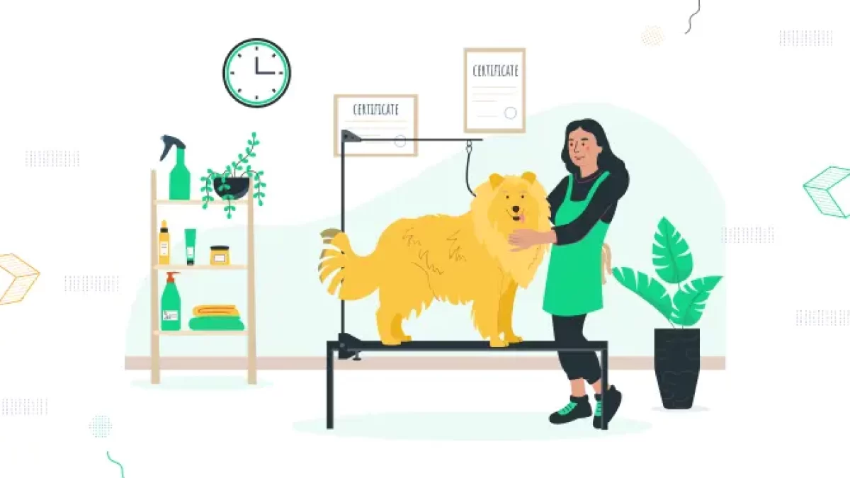 Cat Grooming Shop Bow Wow Wow Dog Grooming 345+ Dog Grooming - Main Image