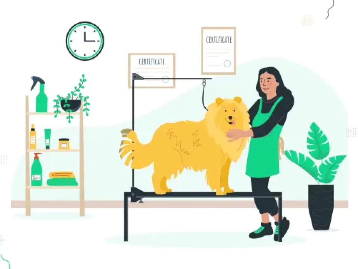 345+ Dog Grooming Business Names: Funny, Classy Creative