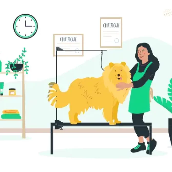 Willis Ave A Pampered Pet Salon 2020 N Kelly Ave, Edmond, OK 73003