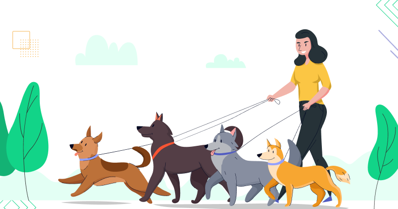 How to Start a Dog Walking Business: A Simple Guide