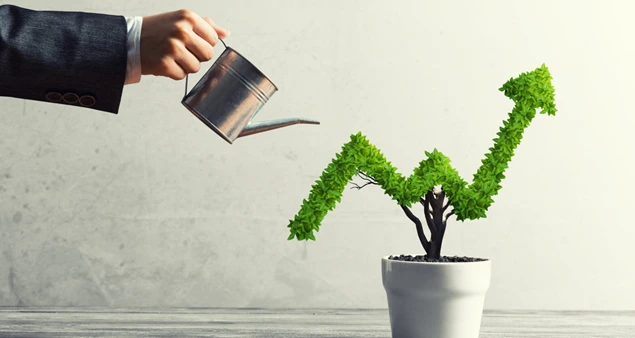 grow your business