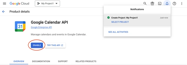 Google Calendar API page