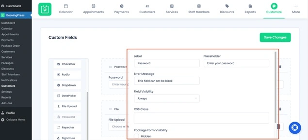 Password field customization interface