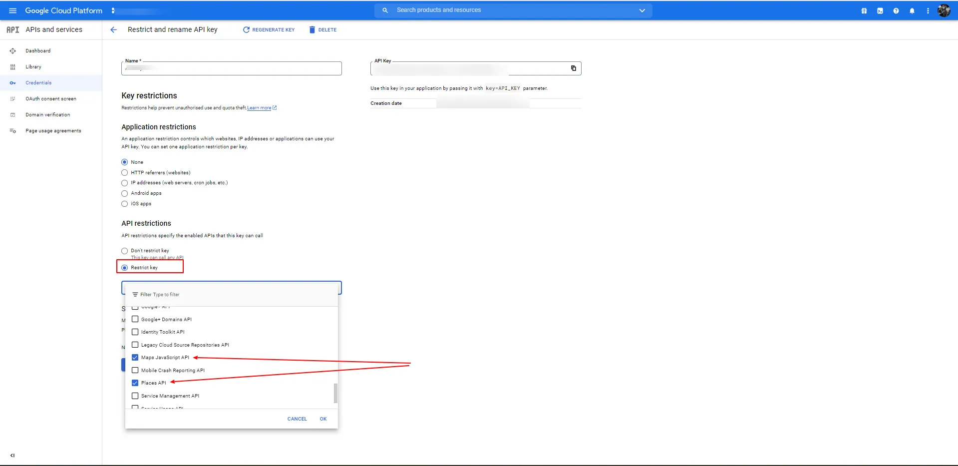 Restrict and rename API key
