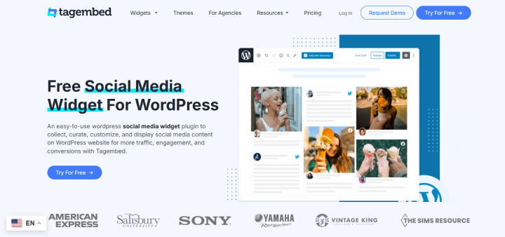 tagembed